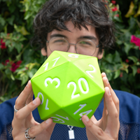 Giant D20 Foam Dice